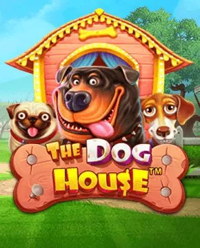 слот the dog house